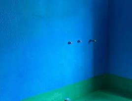 爱辉卫生间测漏水多少钱